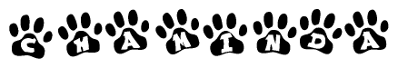 The image shows a series of animal paw prints arranged in a horizontal line. Each paw print contains a letter, and together they spell out the word Chaminda.