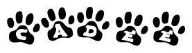 The image shows a series of animal paw prints arranged in a horizontal line. Each paw print contains a letter, and together they spell out the word Cadee.