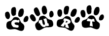 The image shows a series of animal paw prints arranged in a horizontal line. Each paw print contains a letter, and together they spell out the word Curt.