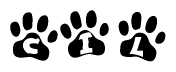 The image shows a series of animal paw prints arranged in a horizontal line. Each paw print contains a letter, and together they spell out the word Cil.