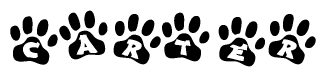 The image shows a row of animal paw prints, each containing a letter. The letters spell out the word Carter within the paw prints.
