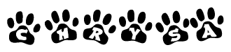 The image shows a row of animal paw prints, each containing a letter. The letters spell out the word Chrysa within the paw prints.