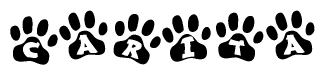 The image shows a row of animal paw prints, each containing a letter. The letters spell out the word Carita within the paw prints.