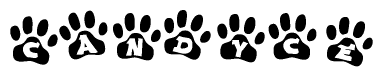 The image shows a series of animal paw prints arranged horizontally. Within each paw print, there's a letter; together they spell Candyce