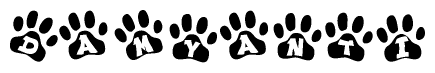 The image shows a series of animal paw prints arranged in a horizontal line. Each paw print contains a letter, and together they spell out the word Damyanti.