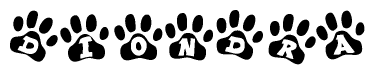 The image shows a series of animal paw prints arranged horizontally. Within each paw print, there's a letter; together they spell Diondra