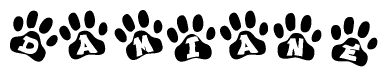 The image shows a series of animal paw prints arranged in a horizontal line. Each paw print contains a letter, and together they spell out the word Damiane.