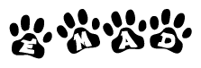 The image shows a series of animal paw prints arranged in a horizontal line. Each paw print contains a letter, and together they spell out the word Emad.