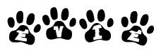 The image shows a series of animal paw prints arranged in a horizontal line. Each paw print contains a letter, and together they spell out the word Evie.