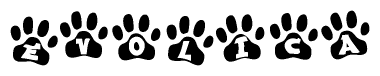 The image shows a row of animal paw prints, each containing a letter. The letters spell out the word Evolica within the paw prints.