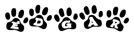 The image shows a series of animal paw prints arranged in a horizontal line. Each paw print contains a letter, and together they spell out the word Edgar.