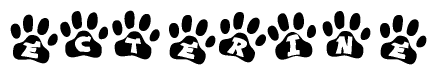 The image shows a series of animal paw prints arranged in a horizontal line. Each paw print contains a letter, and together they spell out the word Ecterine.