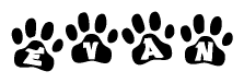 The image shows a row of animal paw prints, each containing a letter. The letters spell out the word Evan within the paw prints.