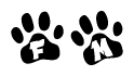 The image shows a series of animal paw prints arranged in a horizontal line. Each paw print contains a letter, and together they spell out the word Fm.
