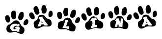 The image shows a series of animal paw prints arranged horizontally. Within each paw print, there's a letter; together they spell Galina