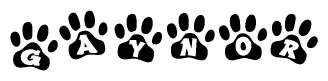 The image shows a series of animal paw prints arranged horizontally. Within each paw print, there's a letter; together they spell Gaynor