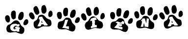 The image shows a series of animal paw prints arranged in a horizontal line. Each paw print contains a letter, and together they spell out the word Galiena.