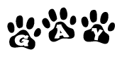 The image shows a series of animal paw prints arranged horizontally. Within each paw print, there's a letter; together they spell Gay