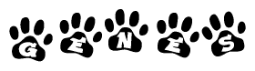 The image shows a series of animal paw prints arranged horizontally. Within each paw print, there's a letter; together they spell Genes