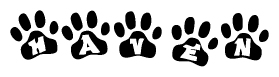 The image shows a series of animal paw prints arranged horizontally. Within each paw print, there's a letter; together they spell Haven