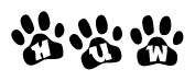 The image shows a series of animal paw prints arranged horizontally. Within each paw print, there's a letter; together they spell Huw