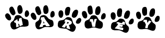 The image shows a series of animal paw prints arranged horizontally. Within each paw print, there's a letter; together they spell Harvey