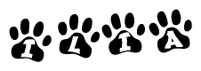 The image shows a row of animal paw prints, each containing a letter. The letters spell out the word Ilia within the paw prints.