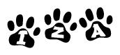 The image shows a series of animal paw prints arranged horizontally. Within each paw print, there's a letter; together they spell Iza