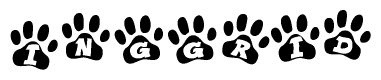 The image shows a series of animal paw prints arranged in a horizontal line. Each paw print contains a letter, and together they spell out the word Inggrid.
