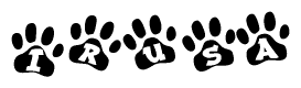 The image shows a row of animal paw prints, each containing a letter. The letters spell out the word Irusa within the paw prints.