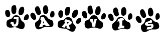 The image shows a series of animal paw prints arranged horizontally. Within each paw print, there's a letter; together they spell Jarvis