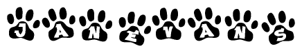 The image shows a series of animal paw prints arranged in a horizontal line. Each paw print contains a letter, and together they spell out the word Janevans.