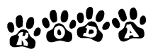The image shows a series of animal paw prints arranged in a horizontal line. Each paw print contains a letter, and together they spell out the word Koda.