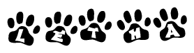 The image shows a series of animal paw prints arranged in a horizontal line. Each paw print contains a letter, and together they spell out the word Letha.