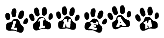 The image shows a series of animal paw prints arranged in a horizontal line. Each paw print contains a letter, and together they spell out the word Lineah.