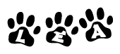 The image shows a series of animal paw prints arranged horizontally. Within each paw print, there's a letter; together they spell Lea