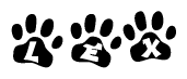 The image shows a series of animal paw prints arranged horizontally. Within each paw print, there's a letter; together they spell Lex