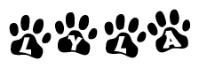 The image shows a series of animal paw prints arranged in a horizontal line. Each paw print contains a letter, and together they spell out the word Lyla.