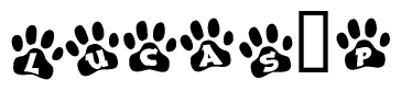 The image shows a series of animal paw prints arranged in a horizontal line. Each paw print contains a letter, and together they spell out the word Lucas p.