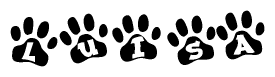 The image shows a series of animal paw prints arranged in a horizontal line. Each paw print contains a letter, and together they spell out the word Luisa.