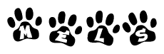 The image shows a series of animal paw prints arranged in a horizontal line. Each paw print contains a letter, and together they spell out the word Mels.