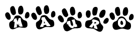 The image shows a series of animal paw prints arranged in a horizontal line. Each paw print contains a letter, and together they spell out the word Mauro.