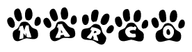 The image shows a row of animal paw prints, each containing a letter. The letters spell out the word Marco within the paw prints.