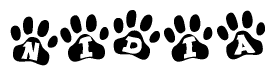 The image shows a series of animal paw prints arranged in a horizontal line. Each paw print contains a letter, and together they spell out the word Nidia.