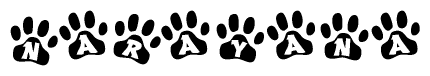 The image shows a row of animal paw prints, each containing a letter. The letters spell out the word Narayana within the paw prints.