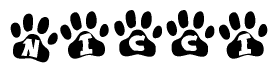 The image shows a series of animal paw prints arranged in a horizontal line. Each paw print contains a letter, and together they spell out the word Nicci.