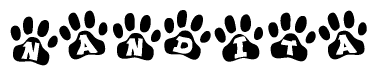The image shows a series of animal paw prints arranged in a horizontal line. Each paw print contains a letter, and together they spell out the word Nandita.
