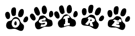The image shows a series of animal paw prints arranged horizontally. Within each paw print, there's a letter; together they spell Osire
