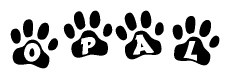 The image shows a row of animal paw prints, each containing a letter. The letters spell out the word Opal within the paw prints.