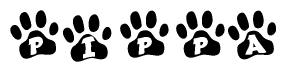 The image shows a series of animal paw prints arranged in a horizontal line. Each paw print contains a letter, and together they spell out the word Pippa.